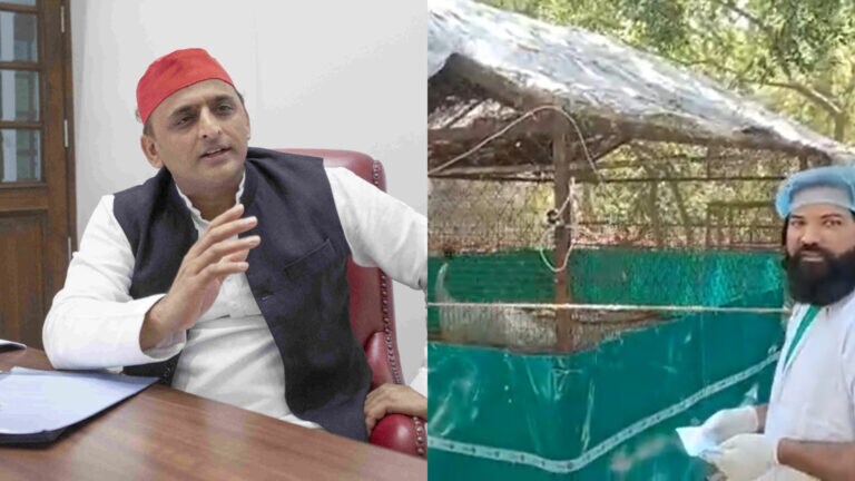 सारस-आरिफ के मुलाकात का वीडियो शेयर कर अखिलेश बोले- उन्हें नहीं पता मोहब्बत कुदरती होती है… UP Tak