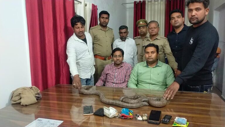 दोमुहा सांपों का 50 लाख में सौदा, वन विभाग ने जाल बिछाकर ऐसे तीन तस्करों को किया गिरफ्तार UP Tak