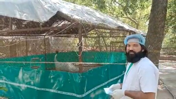 चिड़ियाघर में सारस से मिलने पहुंचा आरिफ, दोस्त को देख पंख फड़फड़ाते हुए खुशी से लगा चहकने UP Tak