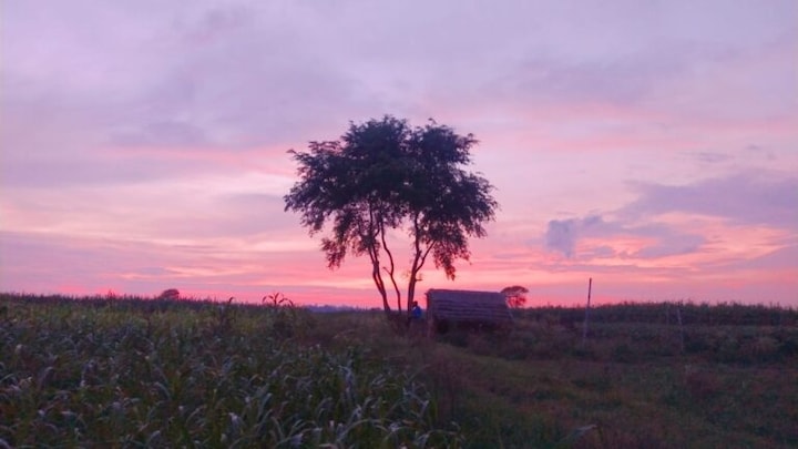 लखनऊ से लेकर सहारनपुर तक UP के इन 7 जिलों में 18 नवंबर को ऐसा रहेगा मौसम UP Tak