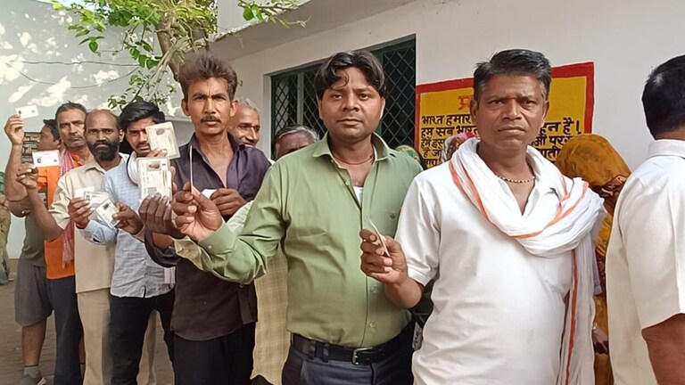 Up Nikay Chunav Live: अलीगढ़-नोएडा में फर्जी वोटिंग की घटनाएं, बागपत में ASP ने लांघी मर्यादा UP Nikay Chunav 2023 Live