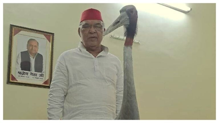 आरिफ के बाद अब सपा MLA मेहरोत्रा को घायल पड़ा मिला सारस, इलाज करवाया और कर डाली ये मांग UPTak