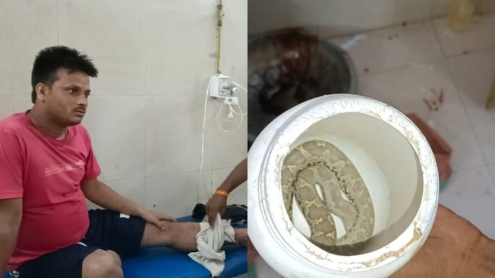 बहराइच: जहरीले सांप ने काटा तो डिब्बे में बंद कर अस्पताल पहुंचा युवक, मचा हड़कंप UP Tak