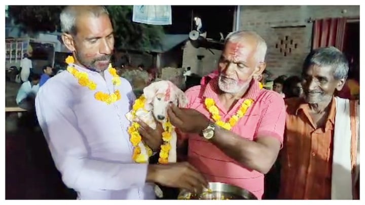 कुतिया ने दिया तीन पिल्लों को जन्म, चिंकी, मिंकी और पिंकी के साथ फिर जो हुआ, हैरान रह जाएंगे UP Tak