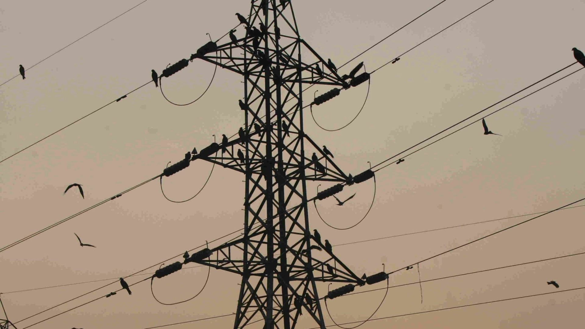 Power crisis बिजली संकट