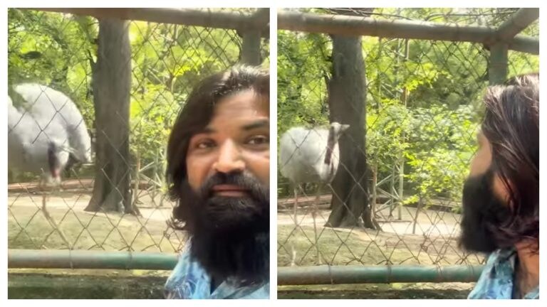 दोस्त सारस से मिलने कानपुर चिड़ियाघर पहुंच गया आरिफ, फिर जो हुआ उसे जानकर यकीन नहीं होगा UP Tak