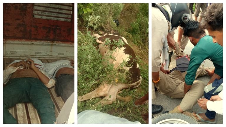 अलीगढ़ में आवारा सांड ने ले ली तीन लोगों की जान, मौके पर पशु की भी हुई मौत UP Tak