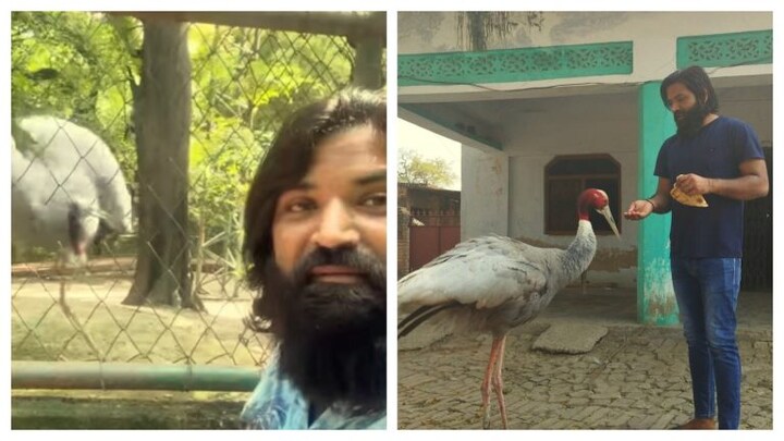 फिर सारस से मिलने पहुंचे आरिफ को रोक लिया गया, बोला- अब दोस्त के लिए कोर्ट जाऊंगा UP Tak