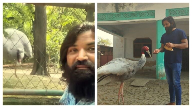 फिर सारस से मिलने पहुंचे आरिफ को रोक लिया गया, बोला- अब दोस्त के लिए कोर्ट जाऊंगा UP Tak