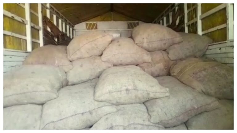 टमाटर के बाद अब अदरक की बारी! बस्ती में चोरों ने लाखों के अदरक पर किया हाथ साफ, जानें UP Tak