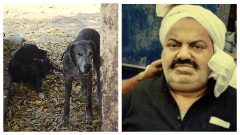 अतीक की हत्या के बाद अब उसके कुत्तों पर आई बड़ी आफत, प्रयागराज नगर निगम में खूब हुआ बवाल UP Tak