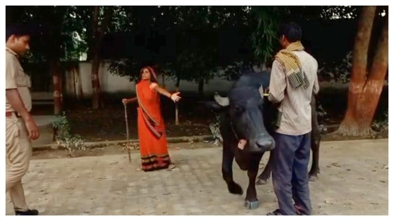 कन्नौज में गांववाले ने भैंस को पीटा तो उसे लेकर कोतवाली पहुंच गया किसान, वहीं बांधकर बैठा UP Tak