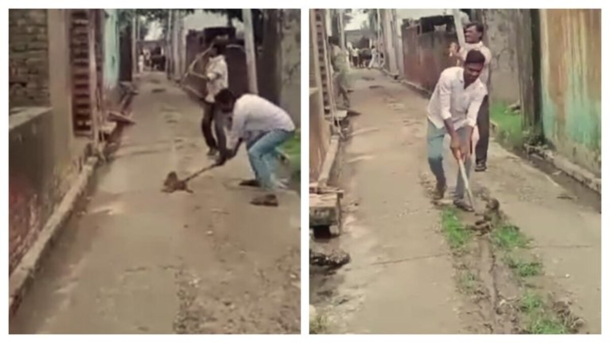 हद है! बदायूं में चूहे की हत्या के बाद अब बंदर के साथ क्रूरता की हद पार, अब फंस गया आरोपी UP Tak