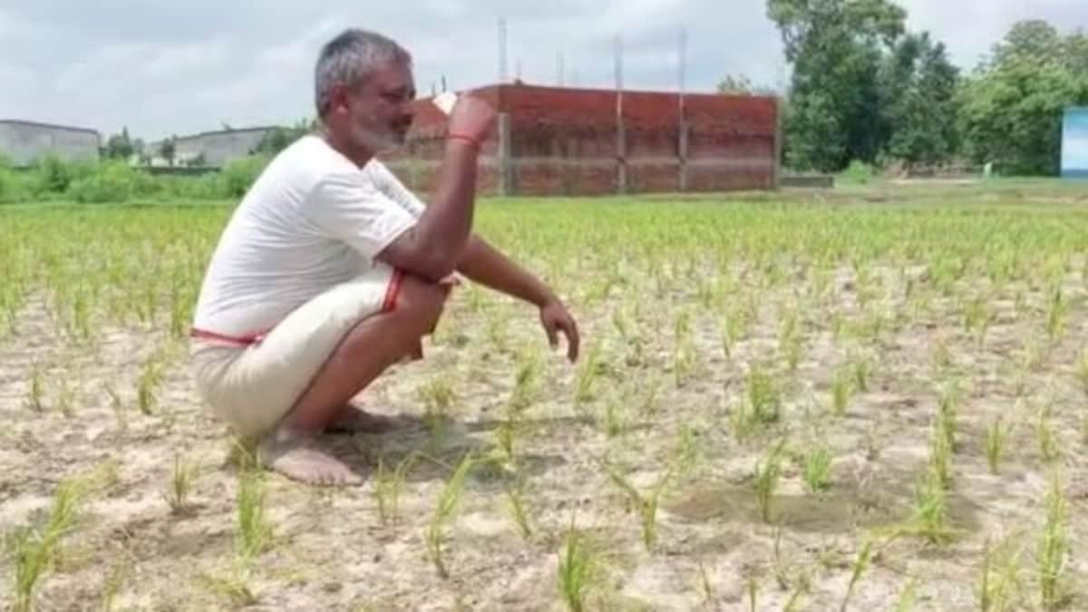 मानसून के मौसम में यूपी के 40 जिलों में सूखा, किसानों की बढ़ी चिंता UP Tak
