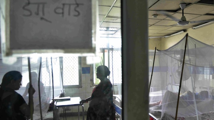 गौतमबुद्ध नगर में पैर पसार रहा डेंगू! जिले में सामने आए इतने केस, 2 सोसायटी पर लगा जुर्माना UP Tak