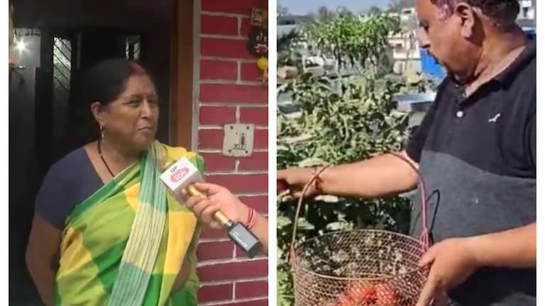 पड़ोसी बोले- पांडेजी बढ़िया आदमी, सबको देते हैं टमाटर, लखनऊ के इस शख्स ने कमाल ही कर दिया UP Tak