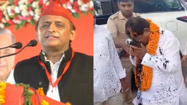 घोसी उपचुनाव में BJP प्रत्याशी दारा सिंह चौहान पर स्याही फेंकने की घटना पर अखिलेश ने कही ये बड़ी बात UP Tak