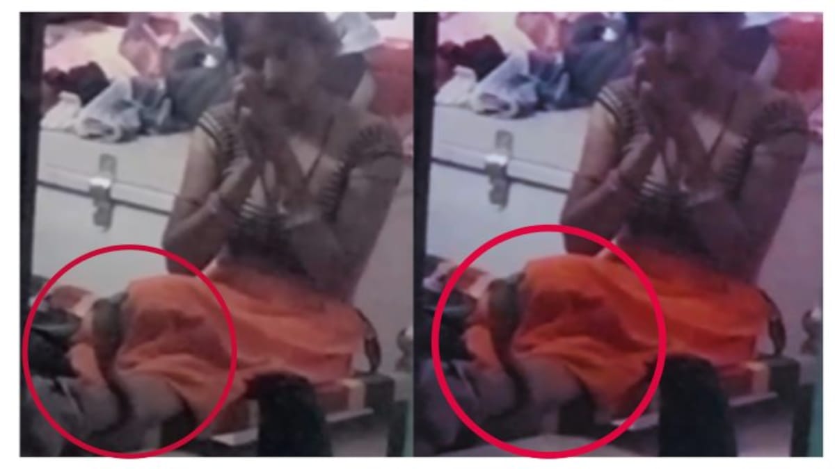 पैर से लिपट गया नाग, महिला हाथ जोड़ जपने लगी शिव का नाम फिर जो हुआ उसे जान हैरान रह जाएंगे UP Tak