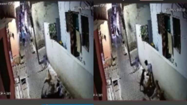 झांसी: कुत्तों के झुंड ने घर के बाहर खेल रहे मासूम पर किया हमला, गंभीर रूप से घायल UP Tak