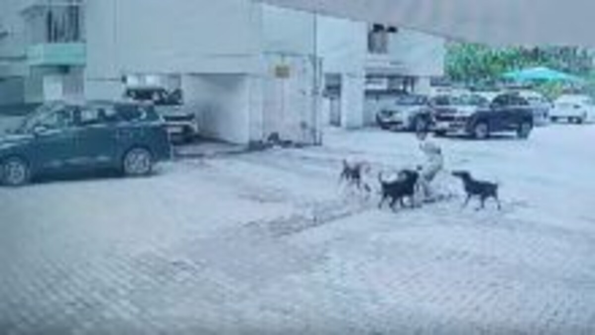 गाजियाबाद में 12 साल की बच्ची पर कुत्तों ने किया हमला, डिलीवरी बॉय ने बचाई जान, वीडियो आया सामने UP Tak