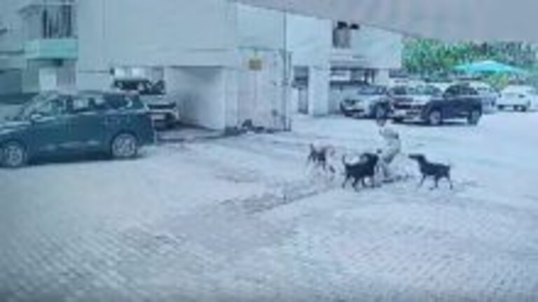 गाजियाबाद में 12 साल की बच्ची पर कुत्तों ने किया हमला, डिलीवरी बॉय ने बचाई जान, वीडियो आया सामने UP Tak