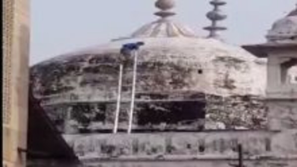 ज्ञानवापी मस्जिद के गुंबद पर सीढ़ी लगा क्यों चढ़ा यह शख्स? सर्वे से इसका क्या कनेक्शन, जानिए ज्ञानवापी मस्जिद के गुंबद पर सीढ़ी लगा क्यों चढ़ा यह शख्स? सर्वे से इसका क्या कनेक्शन, जानिए