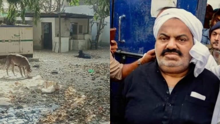 अतीक अहमद के पालतू कुत्तों को मोहम्मद अमन और तौकीर अली ने लिया गोद, जानिए कौन हैं ये UP Tak