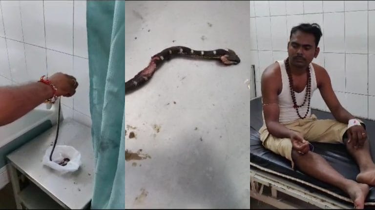 ललितपुर: अपने साथ मरा हुआ सांप लेकर अस्पताल पहुंचा युवक, मचा हड़कंप UP Tak