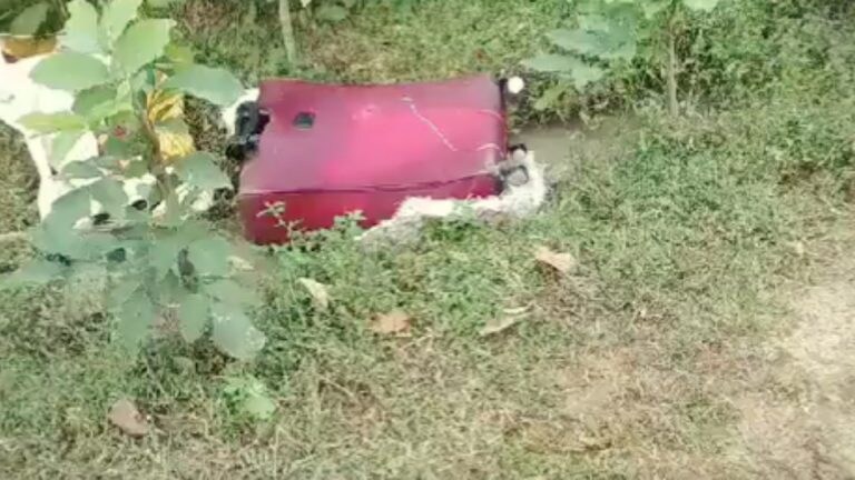 घने जंगलों में पड़े लाल सूटकेस में मिली युवती की लाश, हाथ में ये गुदा मिला, पुलिस भी सन्न UP Tak