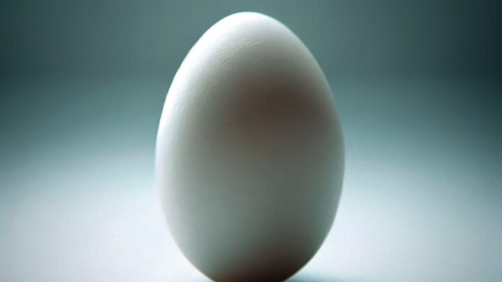 अंडा खाने गए 4 दोस्तों का बिल को लेकर हुआ विवाद, फिर दोस्तों ने ही कर दिया दोस्त का कत्ल UP Tak