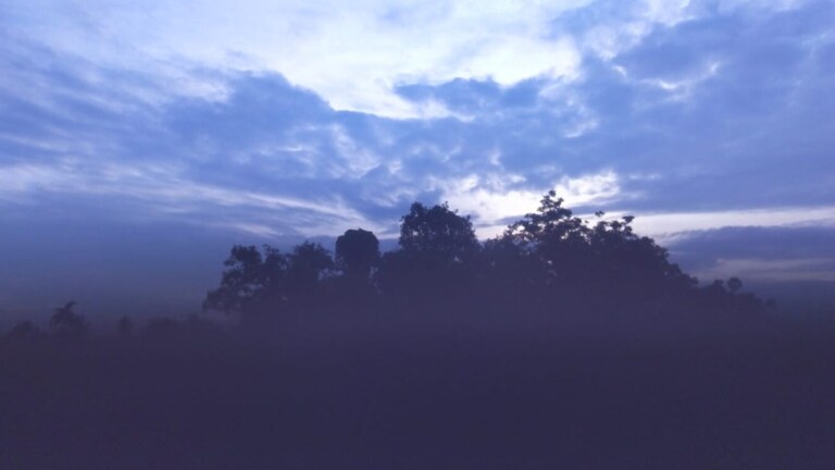 UP Weather Update: यूपी से अब हो रही मॉनसून की विदाई, जानें आज सूबे में कैसा रहेगा मौसम? UP Tak