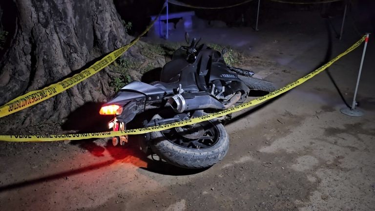 चंदौली पुलिस ने ‘फिल्मी अंदाज’ में गौतस्कर को यूं किया अरेस्ट, बदमाश का हुआ ये हाल UP Tak