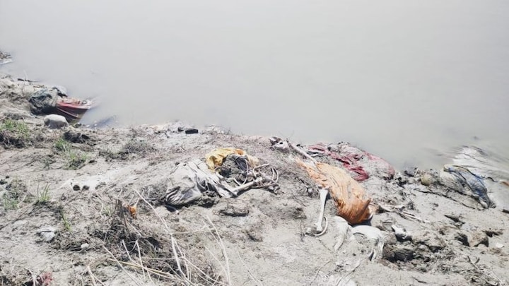 उन्नाव में गंगा की रेती में फिर दिखने लगे शव, जिला प्रशासन में मचा हड़कंप UP Tak