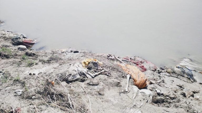 उन्नाव में गंगा की रेती में फिर दिखने लगे शव, जिला प्रशासन में मचा हड़कंप UP Tak