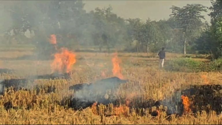 यूपी सरकार सेटेलाइट से रखेगी किसानों पर नजर, अगर जलाई पराली तो जुर्माने के साथ होगी FIR