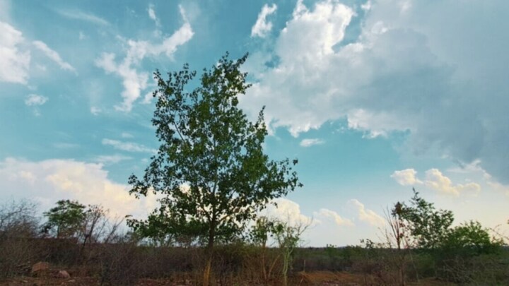 UP Weather Update: 18 अक्तूबर से दशहरा तक कैसा रहेगा यूपी का मौसम? IMD ने ये बताया UP Tak