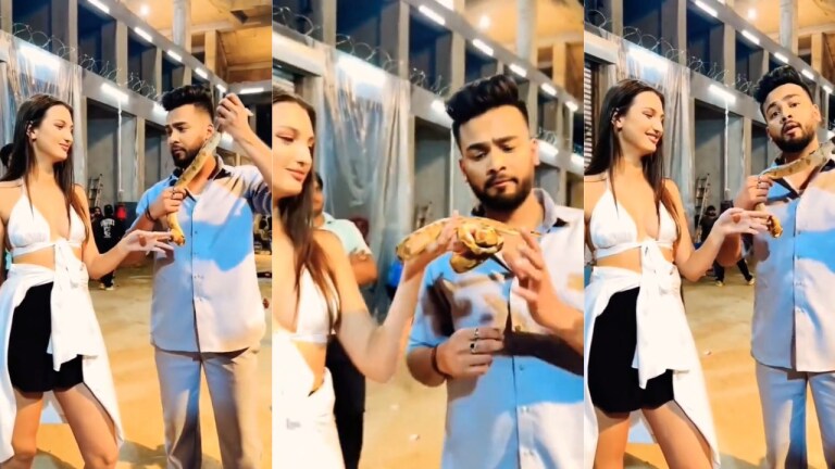 एल्विश यादव केस में बड़ा एक्शन, नोएडा पुलिस कमिश्नर ने केस किया ट्रांसफर, अब ये अधिकारी करेंगे जांच UP Tak