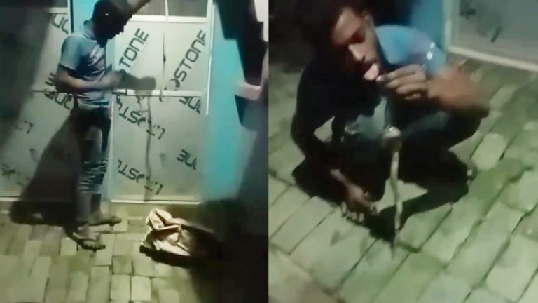 देवरिया में इस शख्स ने सांप के फन को जीभ पर रख लिया, डंसने से हुई मौत, वीडियो वायरल