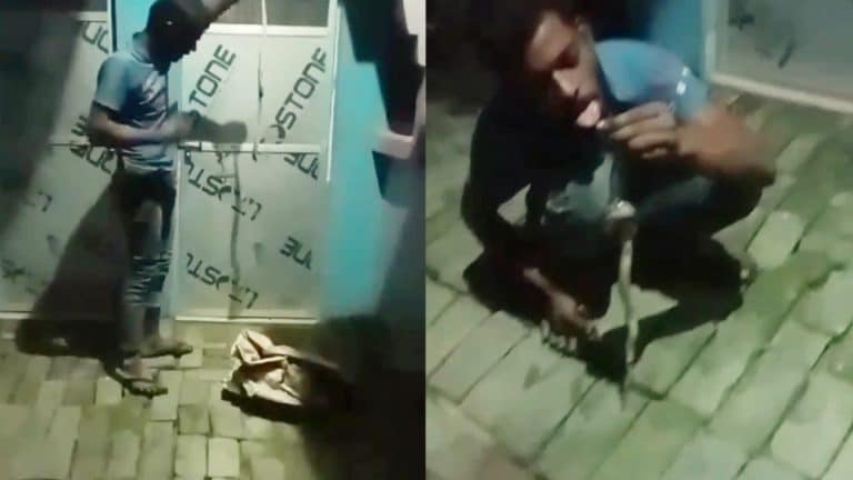 देवरिया में इस शख्स ने सांप के फन को जीभ पर रख लिया, डंसने से हुई मौत, वीडियो वायरल देवरिया में इस शख्स ने सांप के फन को जीभ पर रख लिया, डंसने से हुई मौत, वीडियो वायरल