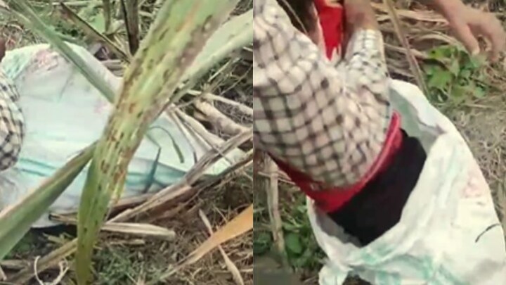 ‘बच्चों के हाथ-पैर बांध, बोरी में बंद कर खेत में फेंका था’, पुलिस ने किया बदमाशों का ये हाल UP Tak