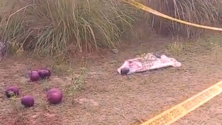 फतेहपुर में पुलिस ने शव के पास पड़े बैगन से कर दिया ब्लाइंड मर्डर केस का खुलासा, पर कैसे?