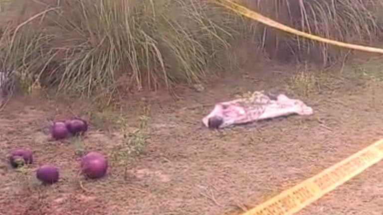 फतेहपुर में पुलिस ने शव के पास पड़े बैगन से कर दिया ब्लाइंड मर्डर केस का खुलासा, पर कैसे? फतेहपुर में पुलिस ने शव के पास पड़े बैगन से कर दिया ब्लाइंड मर्डर केस का खुलासा, पर कैसे?