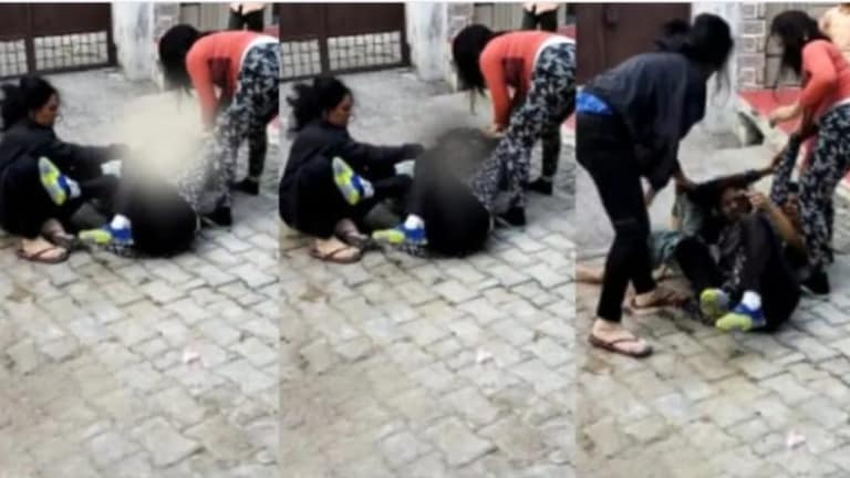 मेरठ में गली क्रिकेट के विवाद में महिलाओं में मारपीट, सामने आई ये कहानी UP Tak