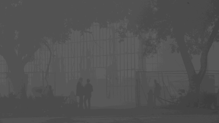 UP की हवा में प्रदूषण की सेंधमारी जारी! जानें नोएडा से लेकर प्रयागराज तक का AQI UP Tak