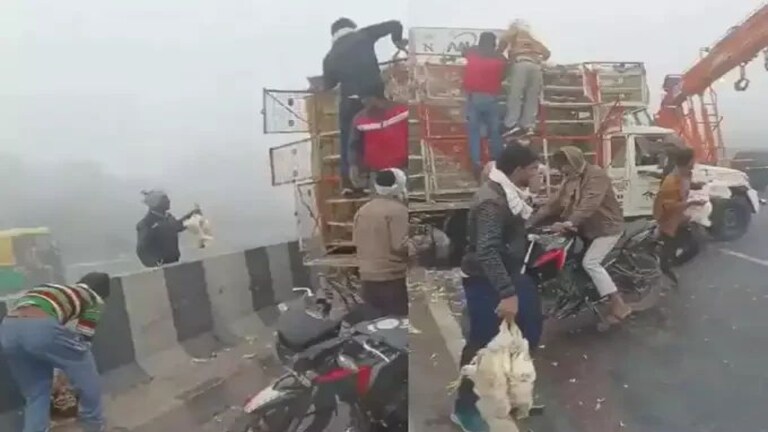 आगरा में हो गई मुर्गों की लूट, बोरे में भर-भरकर गए ले गए लोग, हाईवे का ये नजारा हैरान कर देगा UP Tak