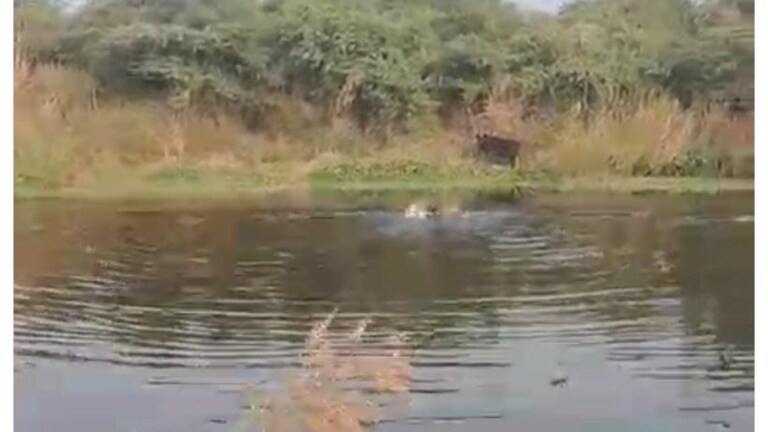 नोएडा: रील बनाना पड़ा जान पर भारी, गहरी झील में डूबा युवक और भाई बनाता रहा वीडियो UP Tak