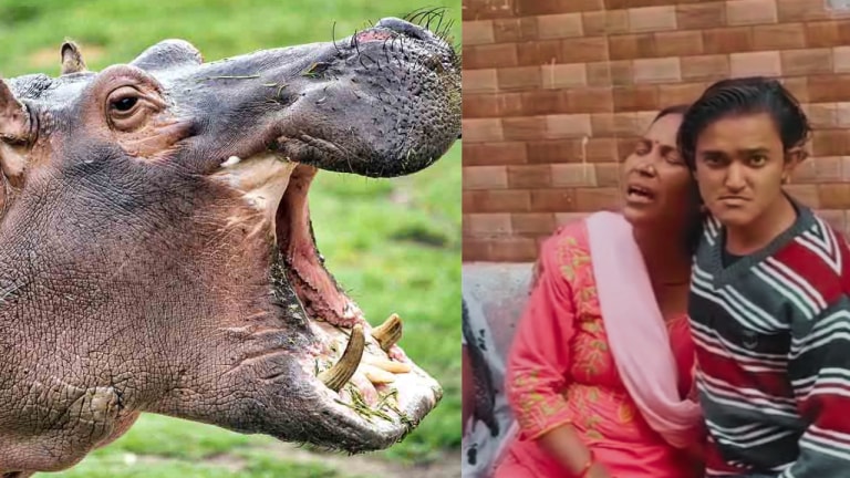 लखनऊ चिड़ियाघर में दर्दनाक हादसा, अपने बाड़े में आए कर्मचारी पर हिप्पो ने किया हमला, हुई मौत UP Tak