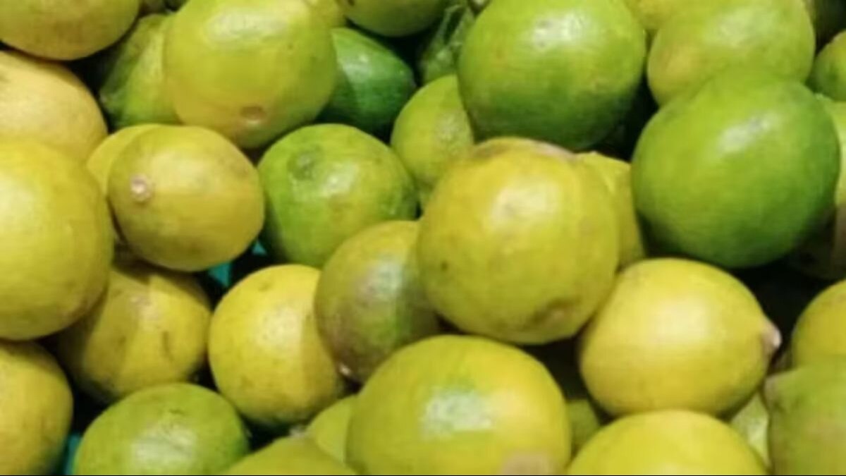 बरेली में नींबू चोरी के मामले ने यूं ले लिया धार्मिक रूप, पुलिस की सतर्कता से नहीं हुई बड़ी घटना lemon