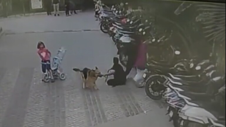 गाजियाबाद में खेल रही बच्ची पर जर्मन शेफर्ड कुत्ते ने किया अटैक, घटना CCTV में हुआ कैद UP Tak