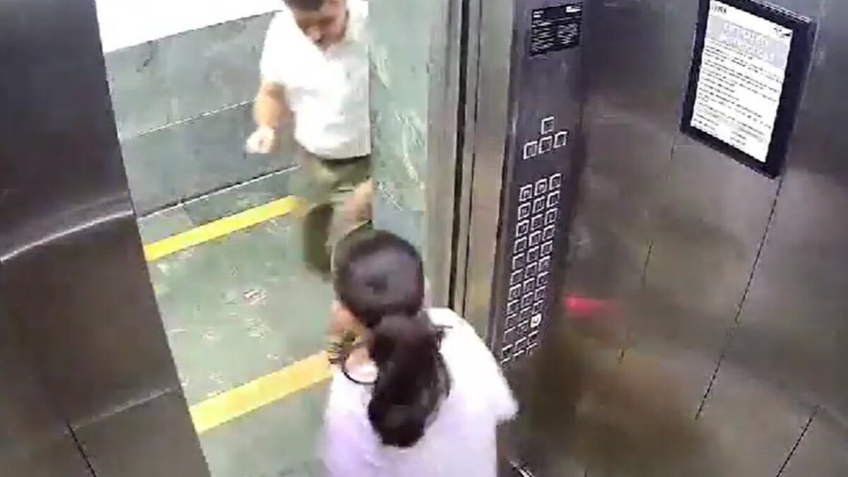 Noida में फिर दिखा कुत्ते का आतंक, लिफ्ट में जा रही बच्ची पर किया अटैक, CCTV में कैद हुई घटना Noida